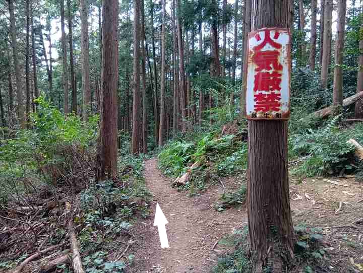 大高取山(西山高取~大高取山)