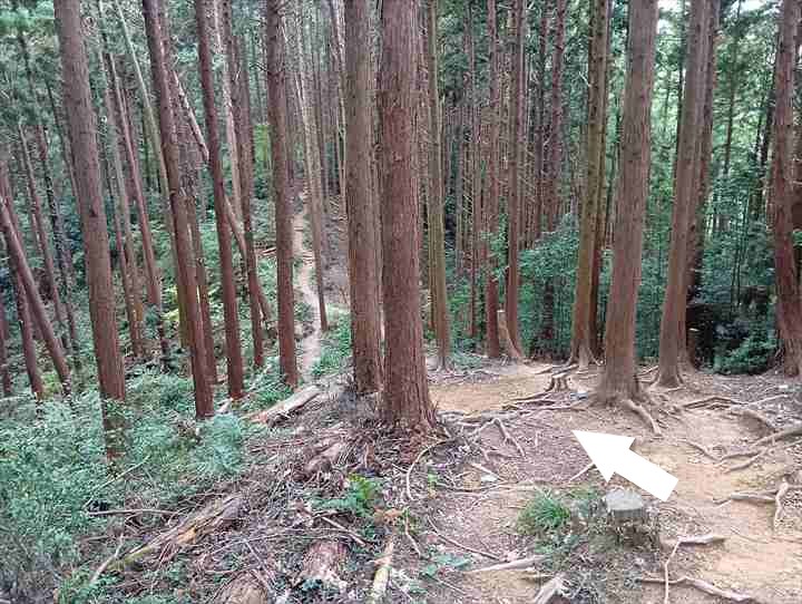 大高取山(西山高取~大高取山)