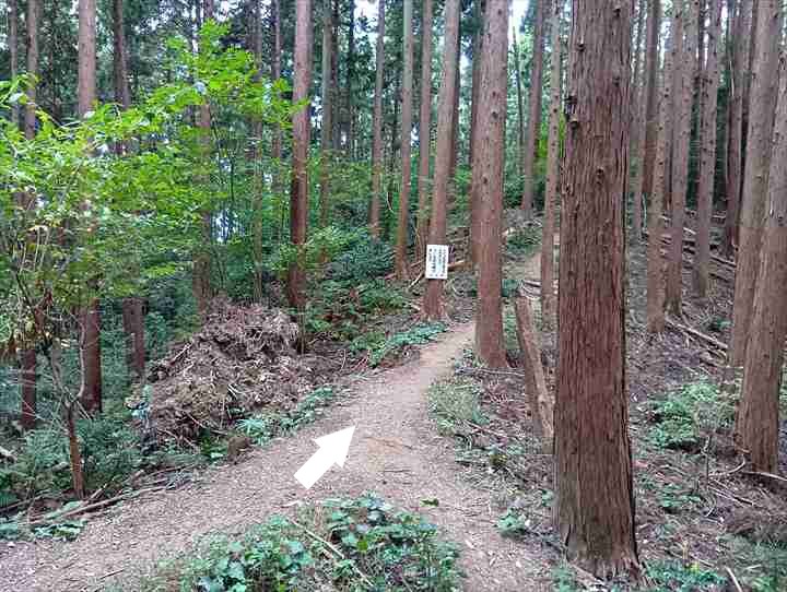大高取山(西山高取~大高取山)