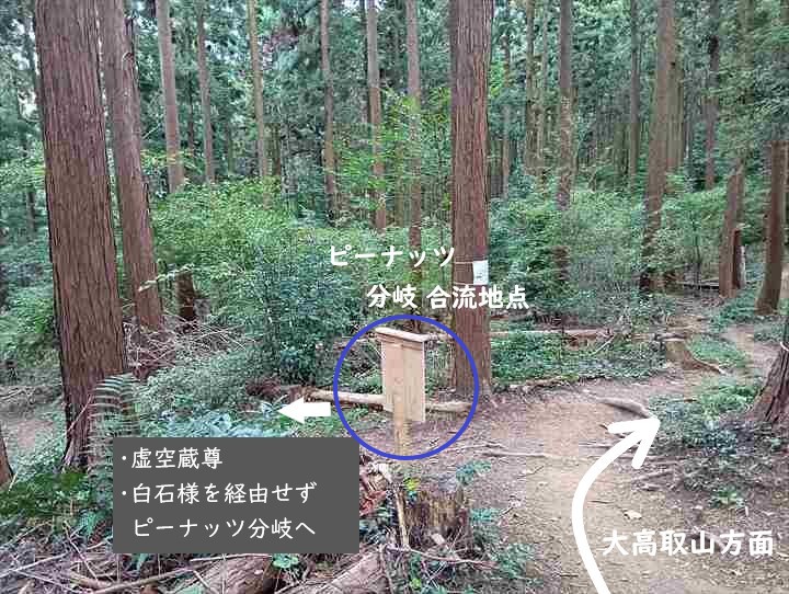 大高取山(西山高取~大高取山)