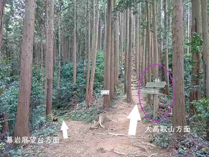 大高取山(西山高取~大高取山)