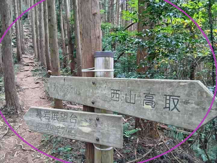 大高取山(西山高取~大高取山)