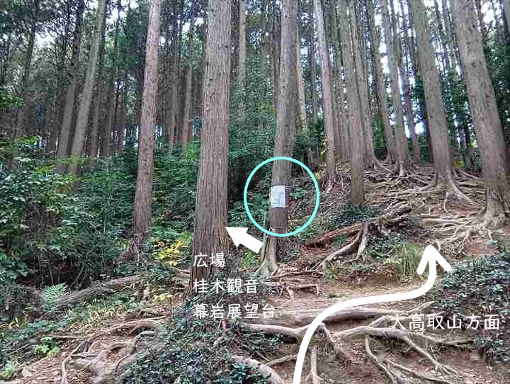大高取山(西山高取~大高取山)