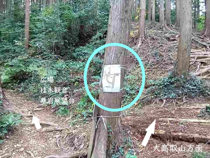 大高取山(西山高取~大高取山)