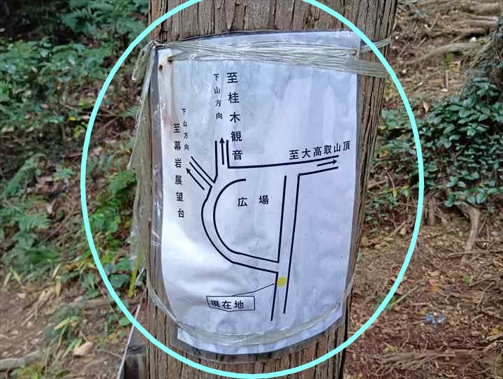 大高取山(西山高取~大高取山)