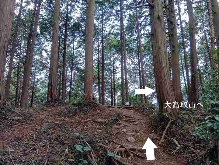大高取山(西山高取~大高取山)