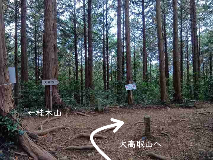 大高取山(西山高取~大高取山)